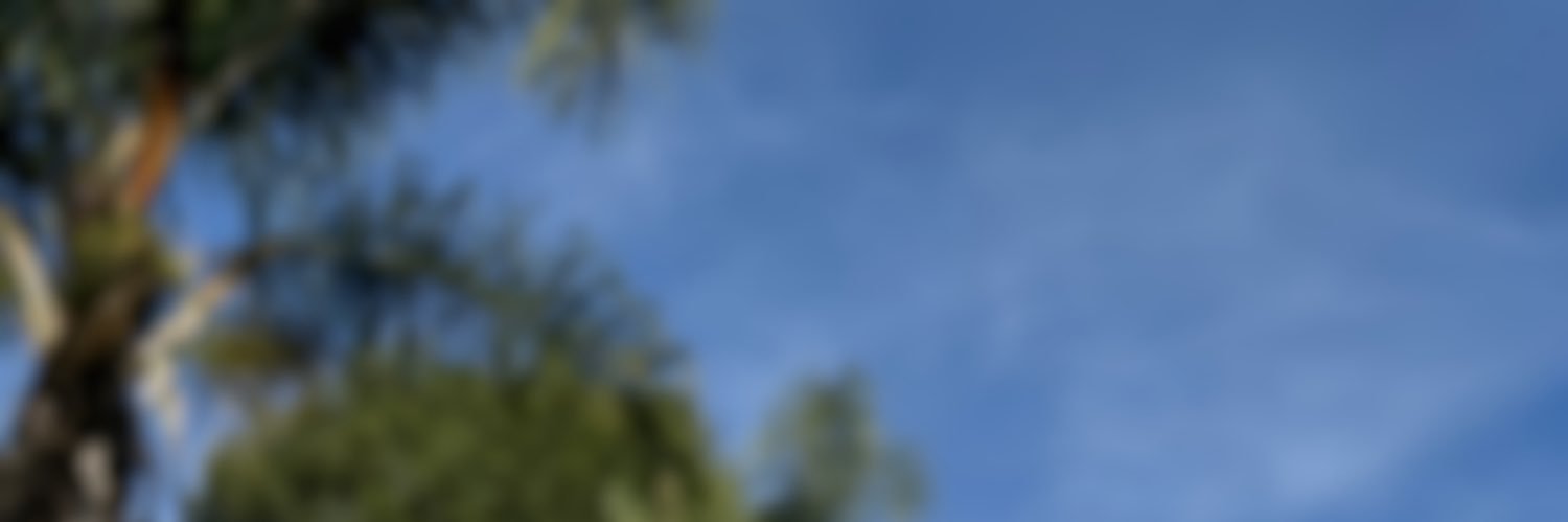 VavalVictor's profile banner image