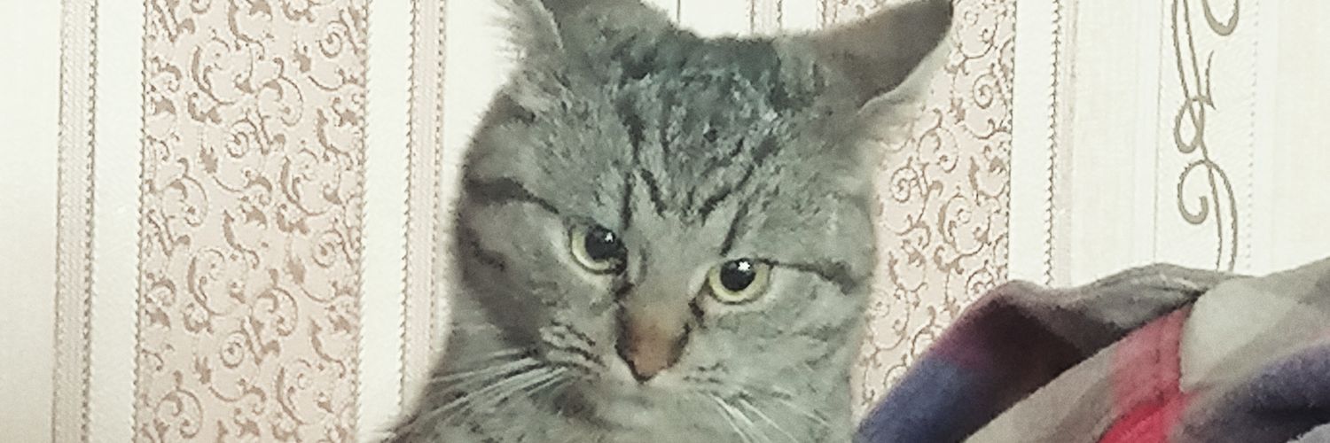 skreble's profile banner image