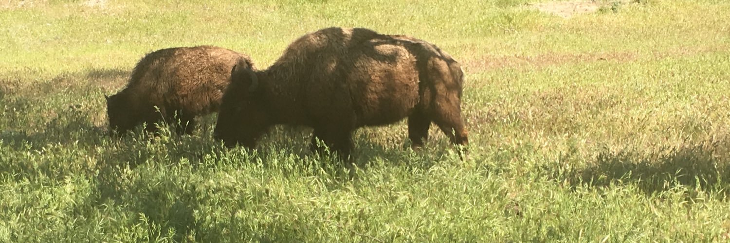 Richard Gardner banner