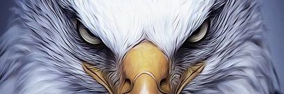 rajd0077's profile banner image