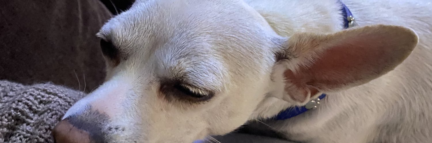 pammpamn's profile banner image