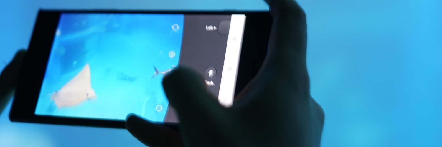 applegg0's profile banner image