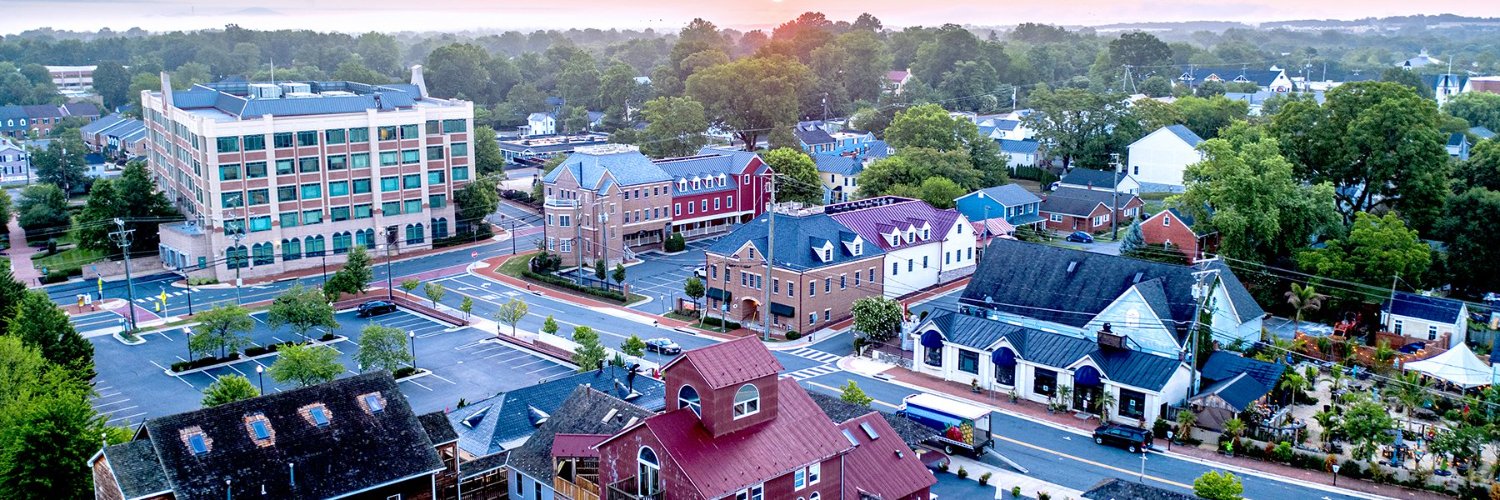 Leesburg Living banner