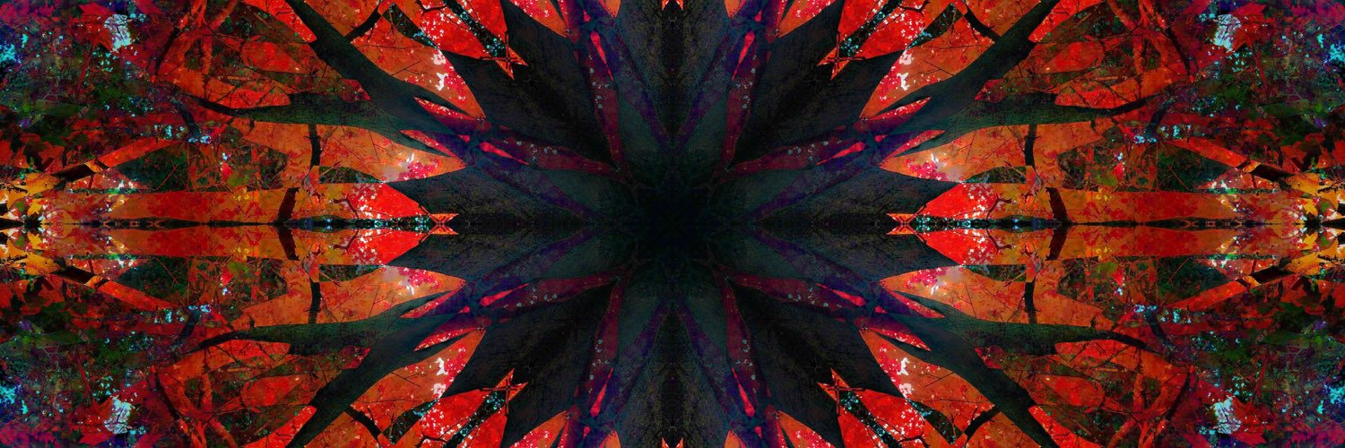 markydee's profile banner image