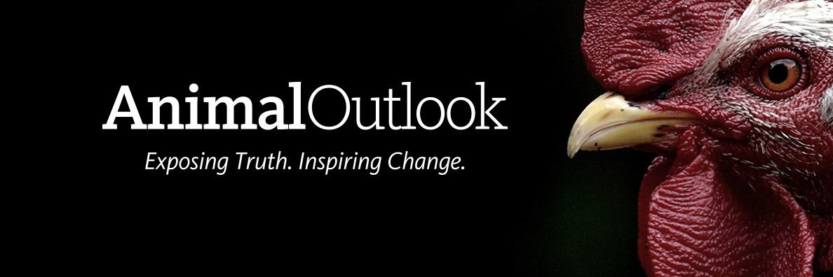 animaloutlook banner
