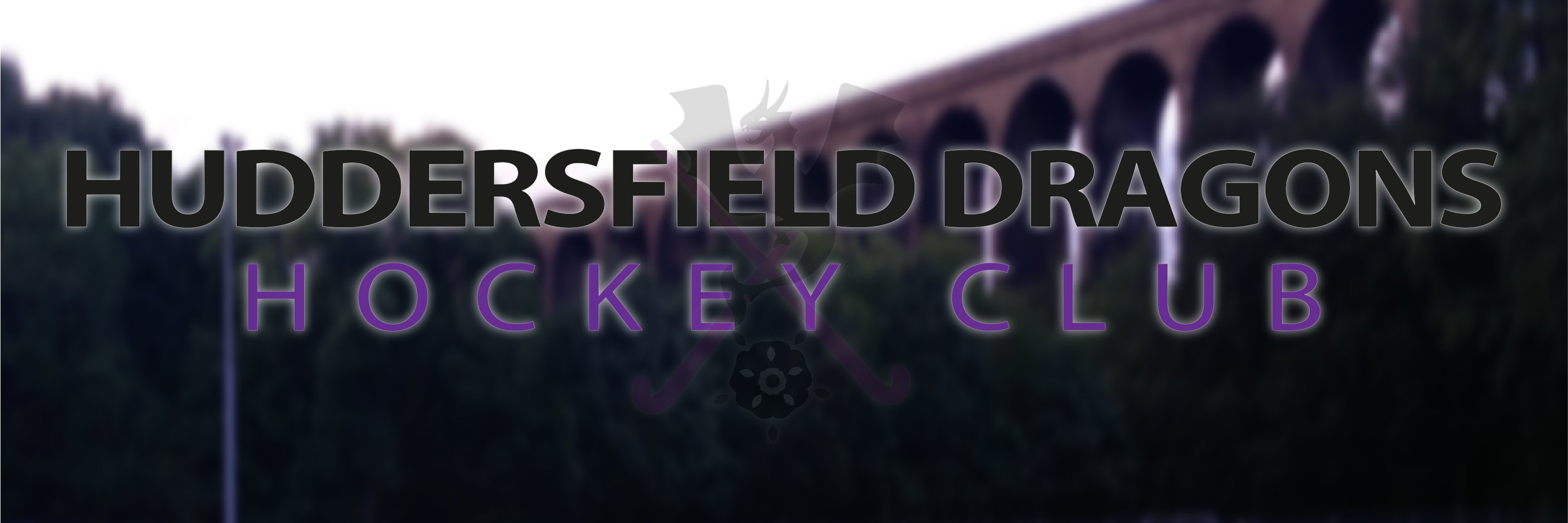 HuddsDragons's profile banner image