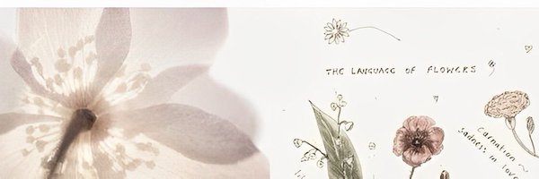 dereidyth Profile Banner