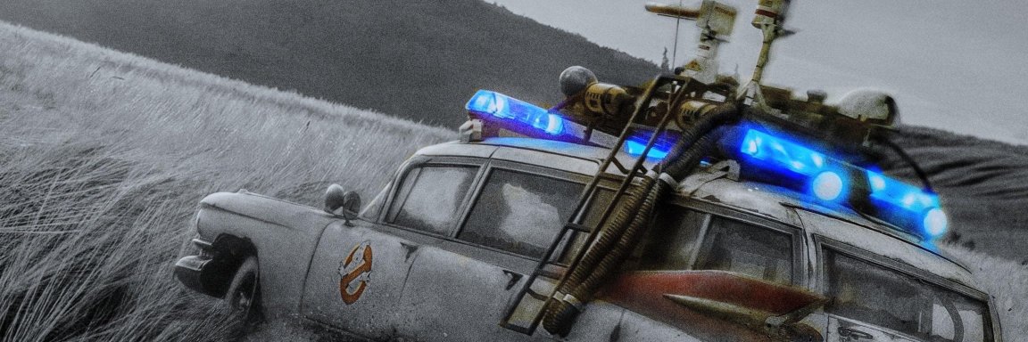 Nigel banner