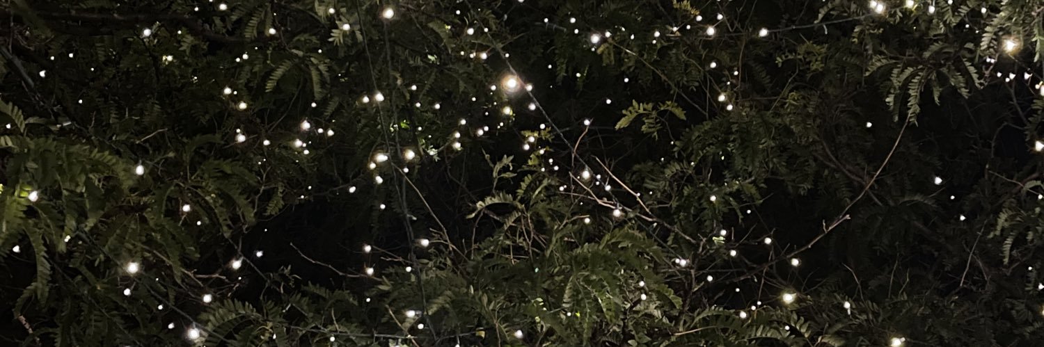 nickheoz's profile banner image