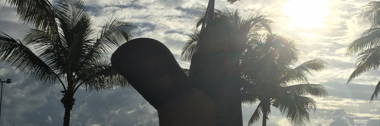 goodwin0375's profile banner image