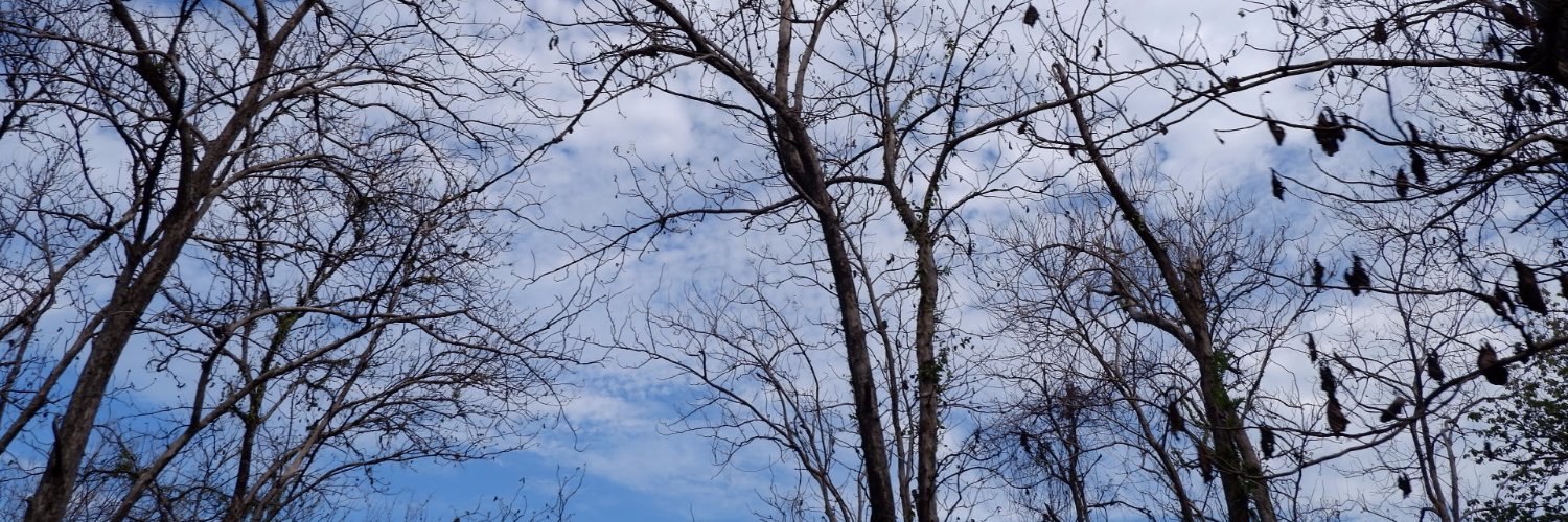 zulfamala's profile banner image