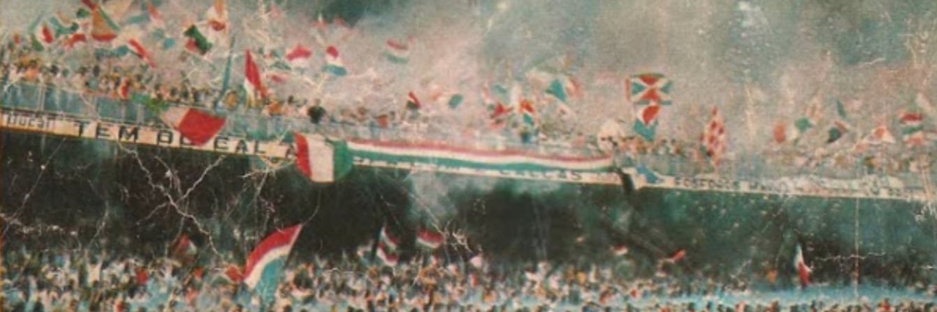 NENZE 🇭🇺 banner