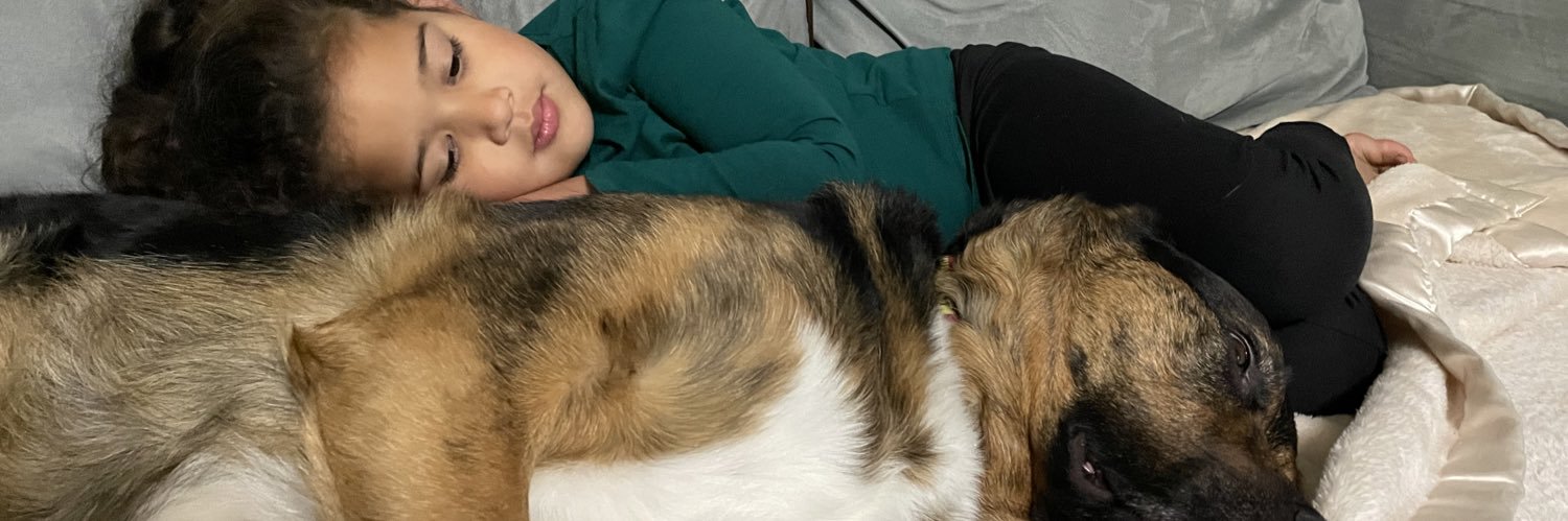 Lildeb550's profile banner image