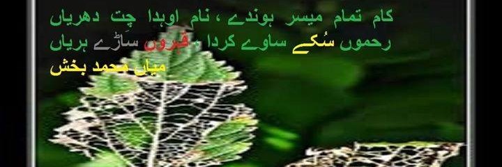 zafarmrabab's profile banner image