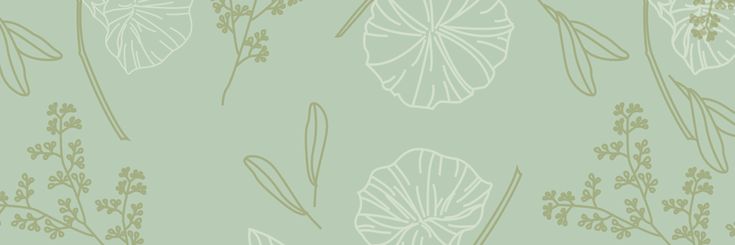 OriginsMCRP Confessions ༉‧₊˚🌿 banner