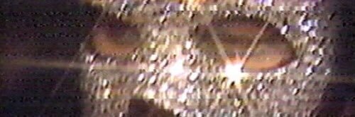 PELI banner