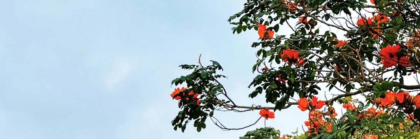 🦉 banner