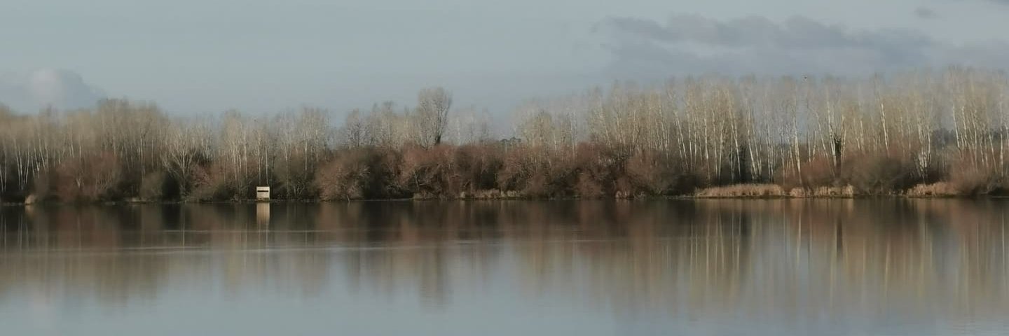 LM_Nunes's profile banner image