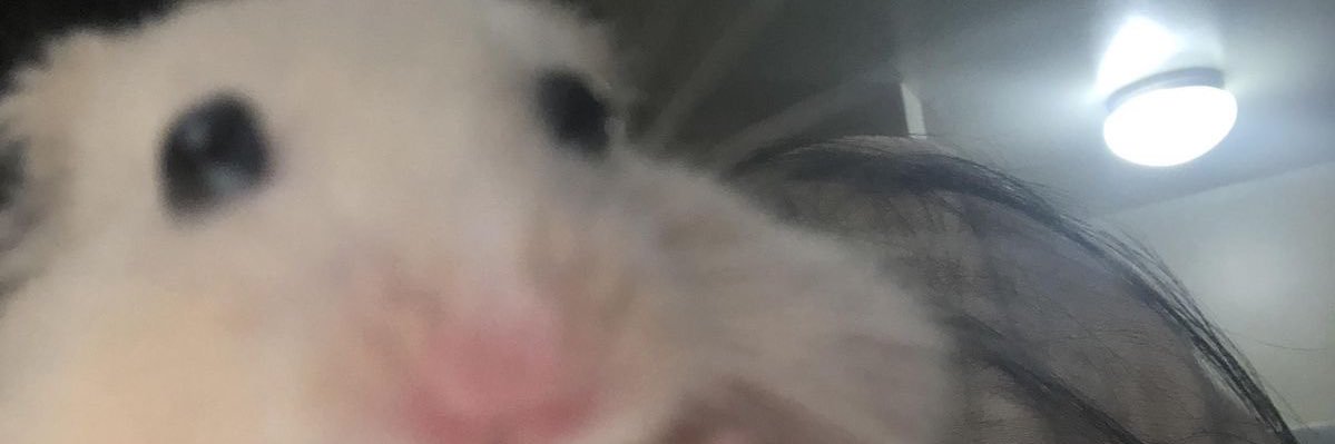 自称清楚系完璧女 banner