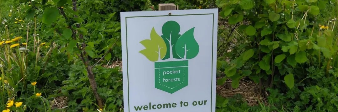 Catherine Cleary "Code Red for Humanity" banner