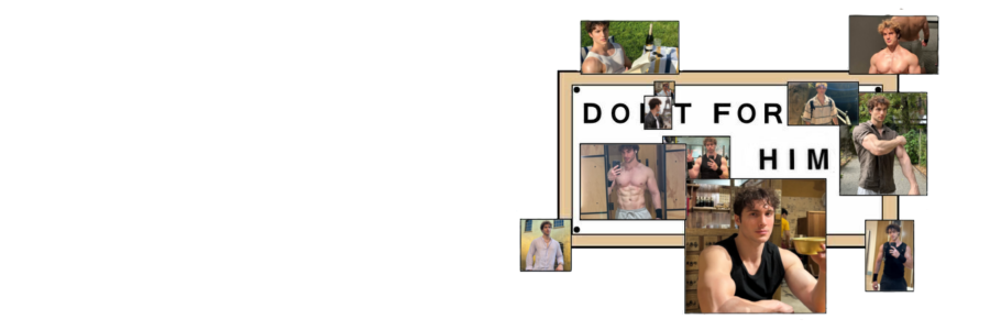ᯓ★ roro .ᐟ.ᐟ banner