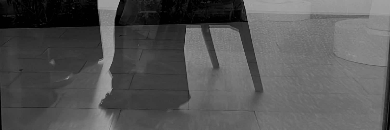 Ju banner