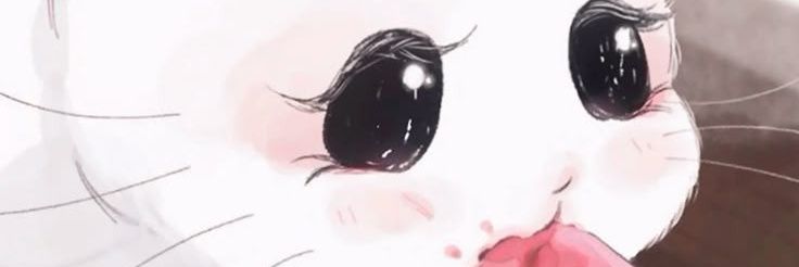 cassey banner