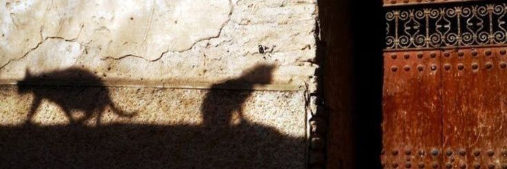 Food after السادسه banner