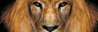 Adefemiwa's profile banner image