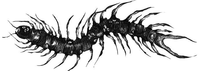 7th year: rapんa :p banner