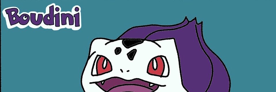 Boudini banner