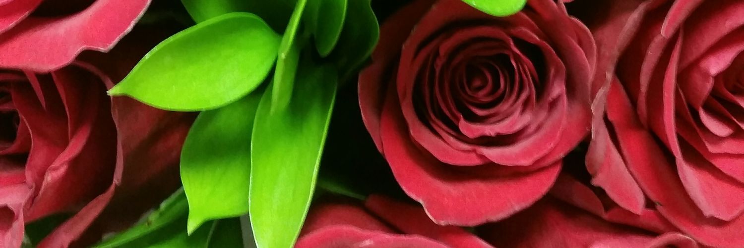 tracey_stuart's profile banner image