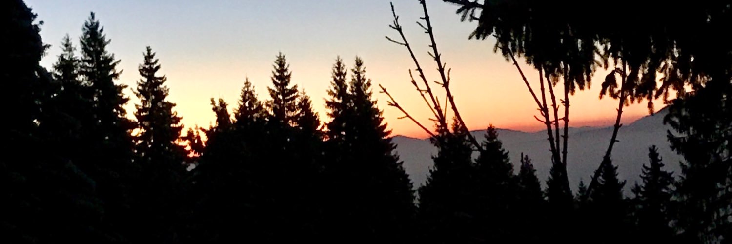 skenderjasmina's profile banner image