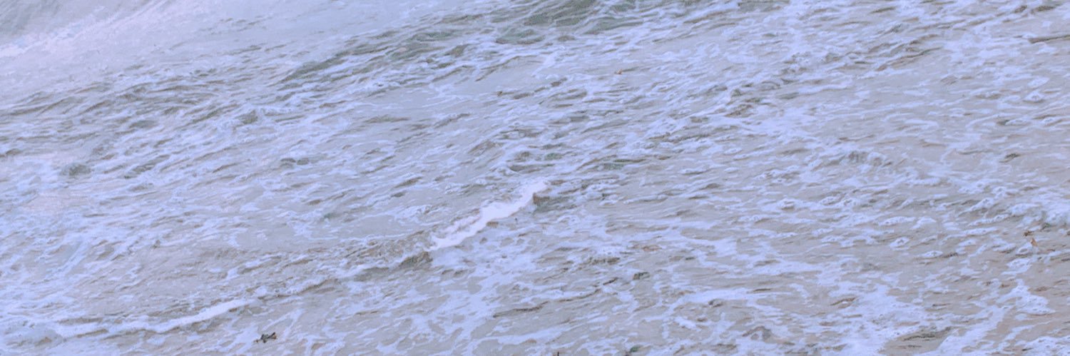 memiseru_meme's profile banner image