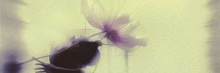 Ibrahemalkatb's profile banner image
