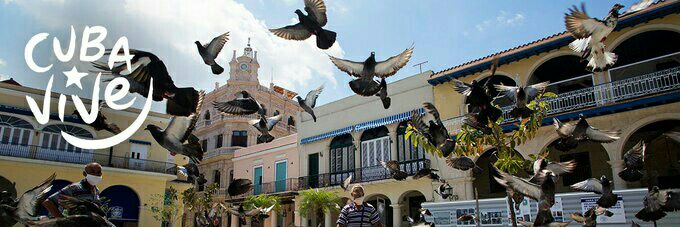 Liset Glez Polanco banner