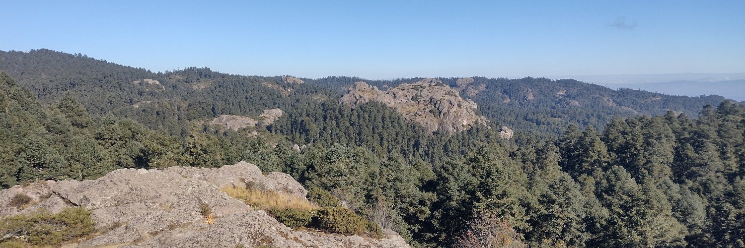 José Eseverri banner