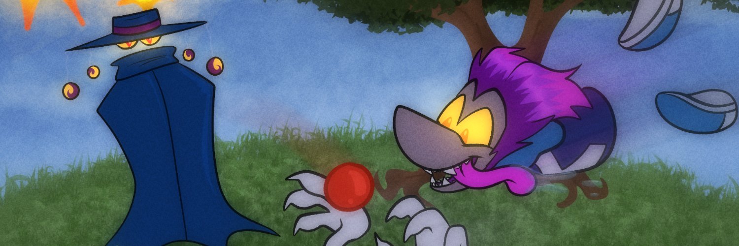 Crazy Echidna Lady banner