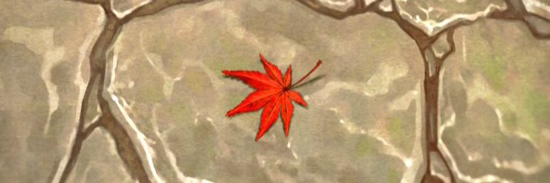 kinawayuki's profile banner image