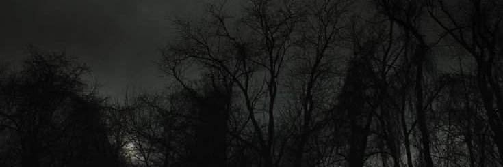 9_Le_'s profile banner image