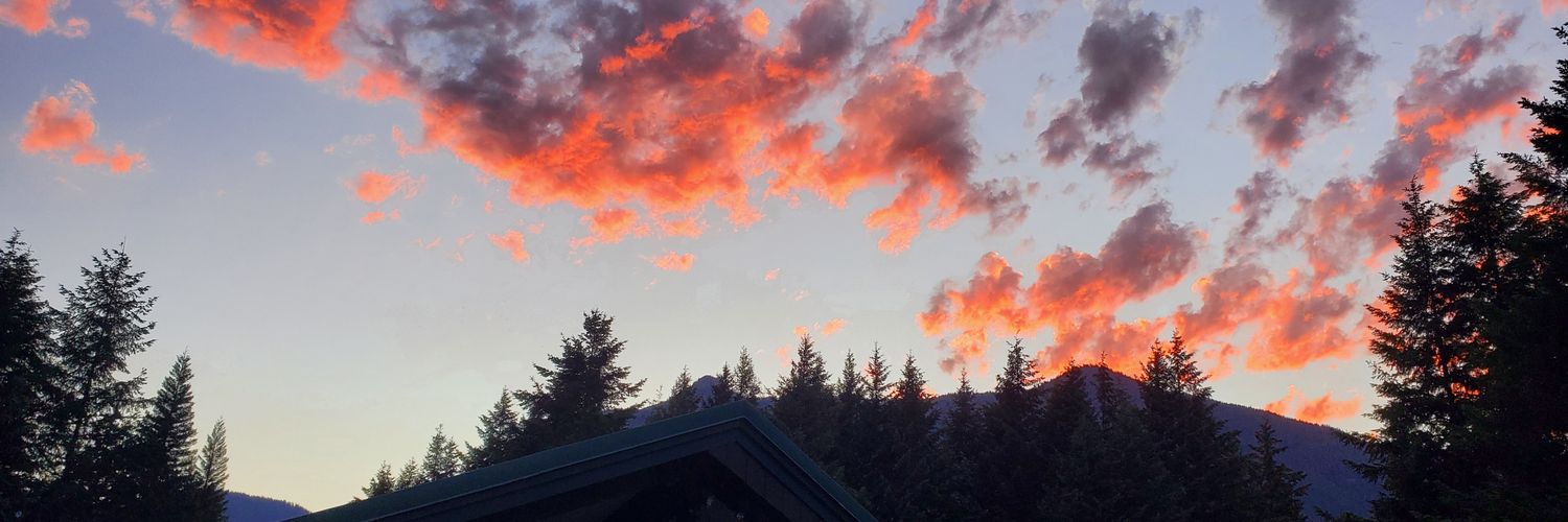 Loriann McDonough banner