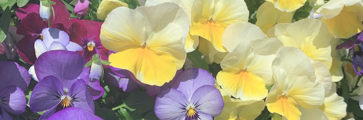 misato1222's profile banner image
