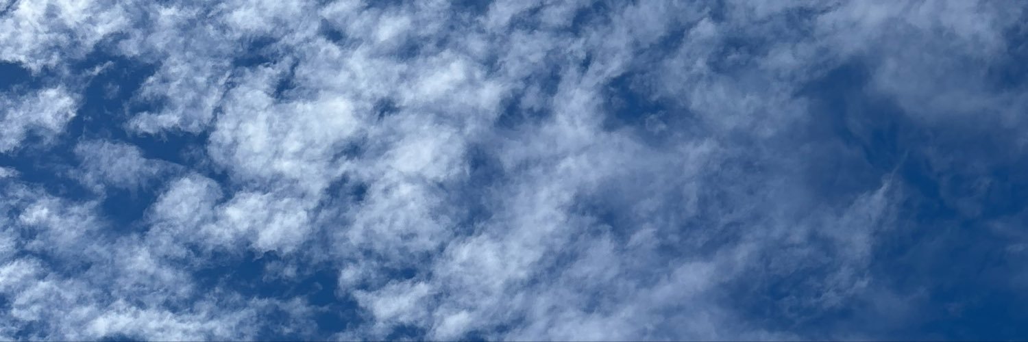 AngelicBrandon_'s profile banner image