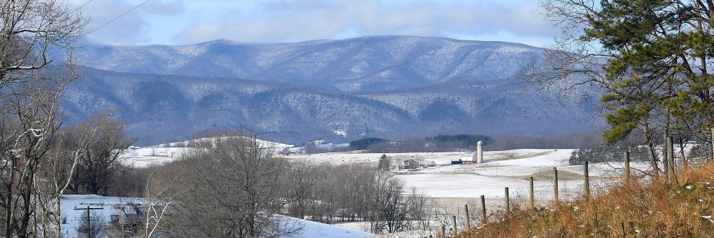 The News Leader banner