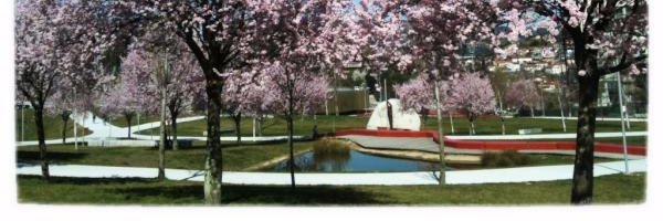 MuversUvigoOU Profile Banner