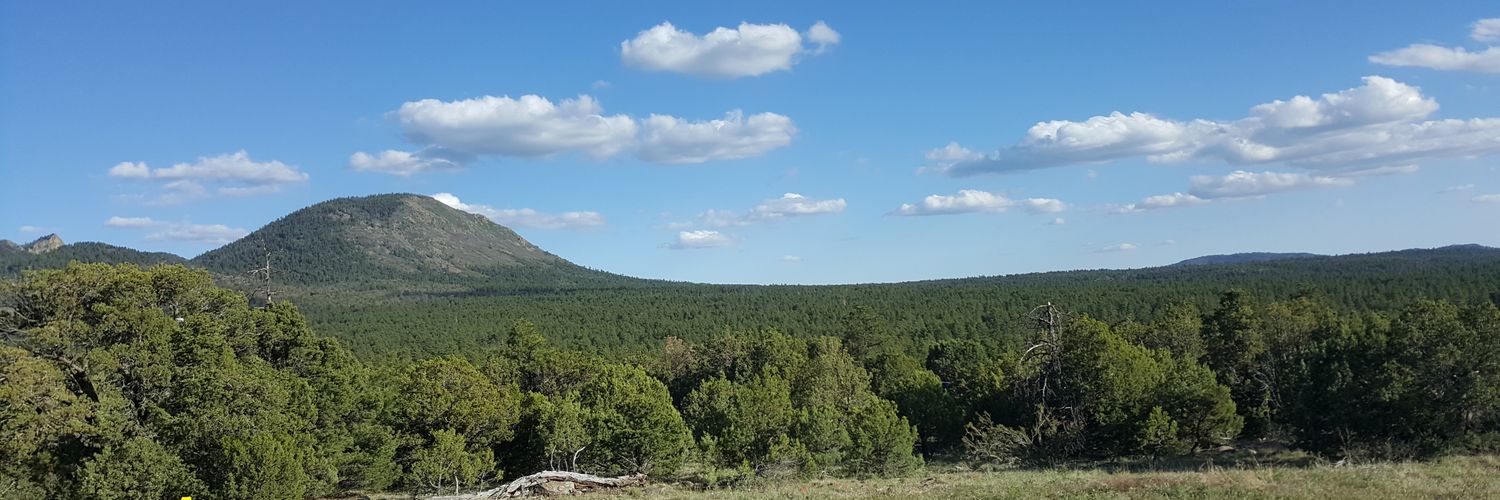 tindeuchen78's profile banner image