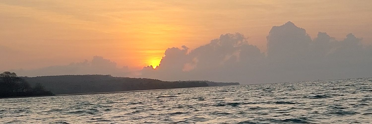 nastarrenyah's profile banner image