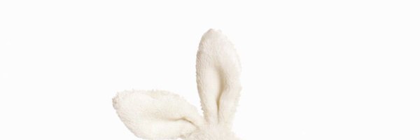 bunny_clover_ Profile Banner