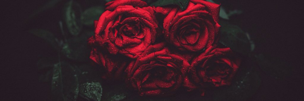 apadiaaaaaaa's profile banner image