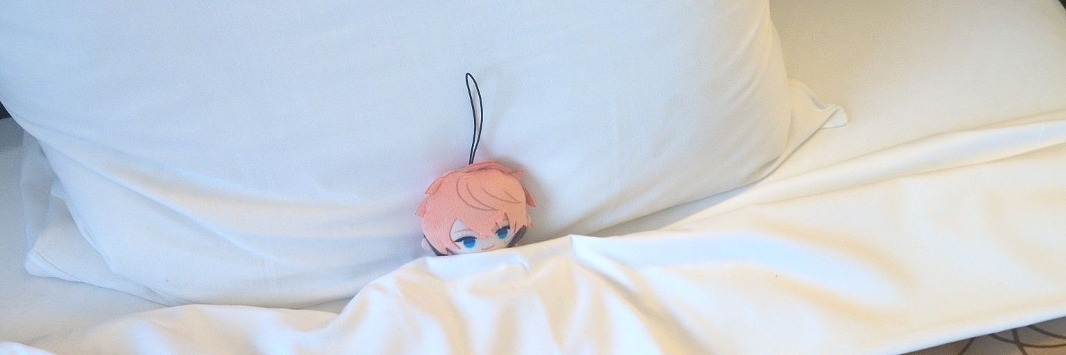 nono_gya's profile banner image